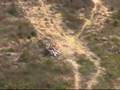 Dirt  bike   é£›è¶Šä¸¹ä¸¹å±±