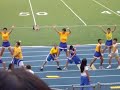 powderpuff