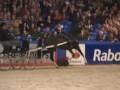 videos de Patijn stallion KWPN