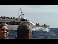 Tour of Italy- Rome, Florence, Capri