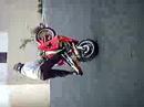 stunt mulisha stunt mulisha