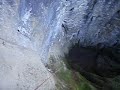 Licerbar