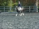 Nebo Stripe at show 1