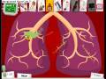 videos de amateur surgeon claude file 1