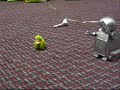 Beyonce \"Robot meets Green Gorillia\", A Epileptic Love Story