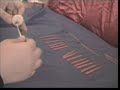 southord 22 pce pick set