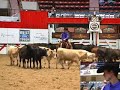 2007 NCHA Derby Limited Open Champion 2007 NCHA Derby Limited Open Champion