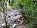 videos de Ingrid en la quebrada de los cuervos, luego de su liberación