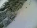 sciando gi� dall\