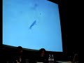 Thierry Kuntzel au Mus�e du jeu de Paume 2007 N�3