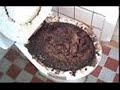 �Cpipower� beim schei�en