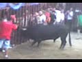 toro Losar
