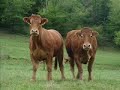 natuur fotografie