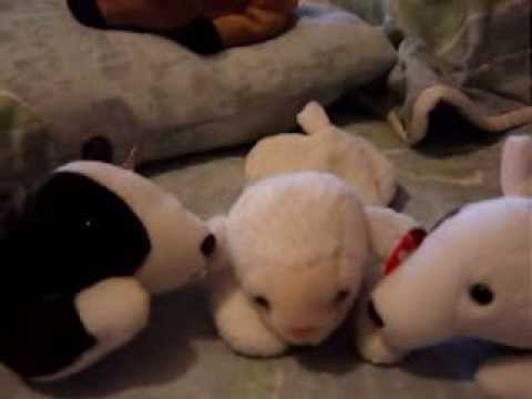 Dogs - Pink Floyd
