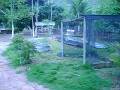 videos de SITIO A VENDA