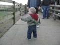 frankie at the farm