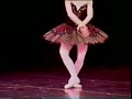 Cecilia Kerche - Black Swan - Cisne Negro