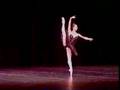 Cecilia Kerche - Black Swan - Cisne Negro