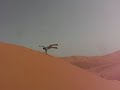 Desert stunts Desert stunts