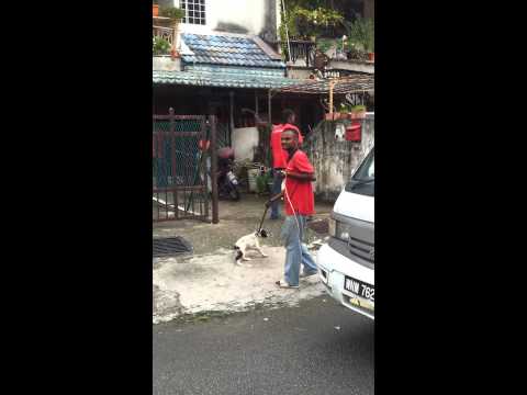 MPAJ simply transpassing people\'s house 