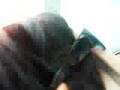 in da glashaus ô.o