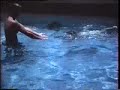 La Piscine du club des Aigles