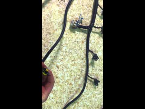 how to bleed ls1 t56