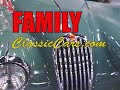 1954 Jaguar XK 140 1954 Jaguar XK 140