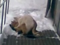 Это Его Район! (cut Version)