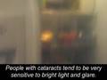 Vision Simulations - www.afb.org/seniorsite