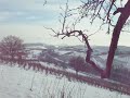 Strau�enhalde.AVI