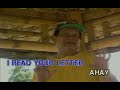 Yoyoy Villame - Nasaan Ka Darling