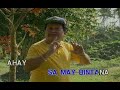 Yoyoy Villame - Nasaan Ka Darling