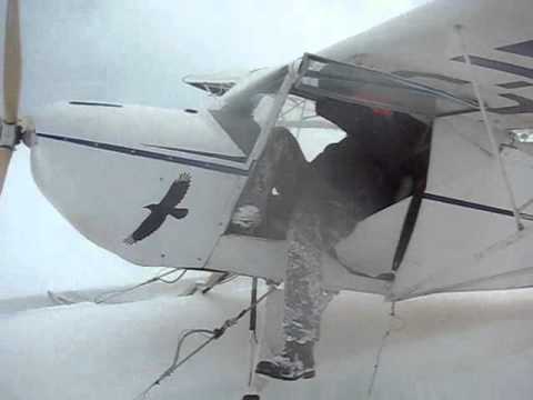 Raven Snow
