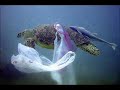 videomatch_0002.wmv videomatch_0002.wmv