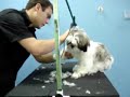 Pet Spa Pet Spa