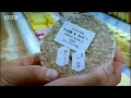 simon reeve travels to one of africa's most expensive cities, libreville, to learn more about the reality of  the gabon oil industry. free video clip from bbc worldwide.