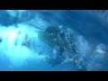AMAZING HD WHALE SHARK FOOTAGE!!!!