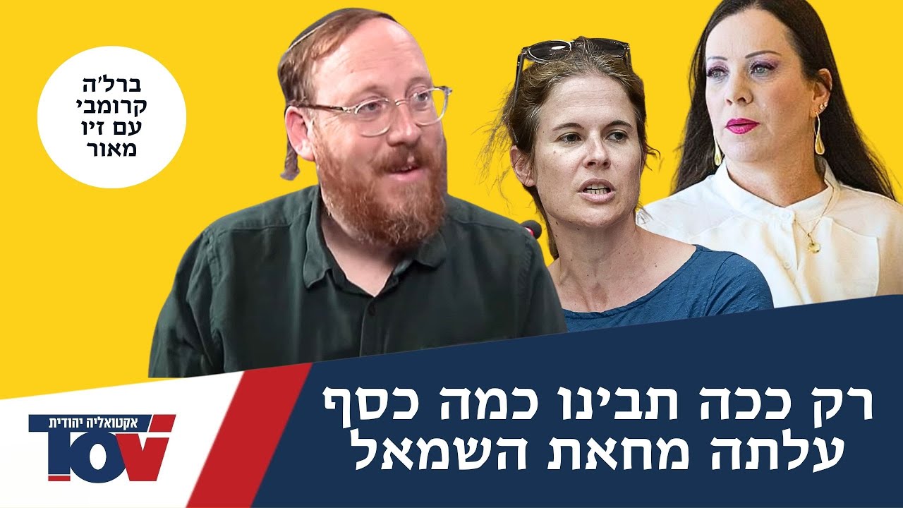 אתם לא מבינים כמה כסף עלתה לי* המחאה בעד הרפורמה המשפטית?
