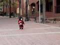Lorien is a Little Ladybug