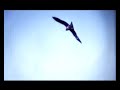 play video:Marion von Tilzer - Kirvani Revisited