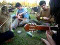 youvlog - videos de Los amigos de elSiri