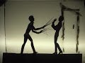 Proteus