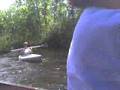Kayak on the Namekagon