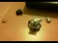 VibroBot I (Prueba de concepto) VibroBot I (Prueba de concepto)