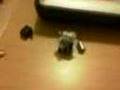 VibroBot I (Prueba de concepto)