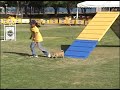 UCAM Aguascalientes 2008