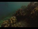 While the Earth Sleeps - Scenes from \"The Fall\"