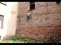 videos de Parkour