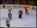Björklöven - Huddinge 21/1 1994